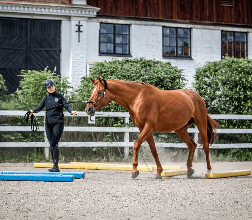 Rakriktande long m Walle 2 (1)