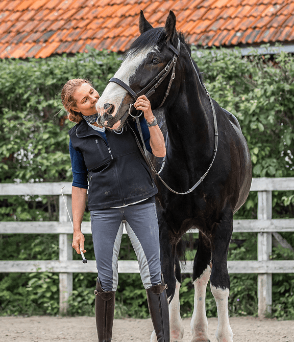 placeholder img or logo (3) (1)